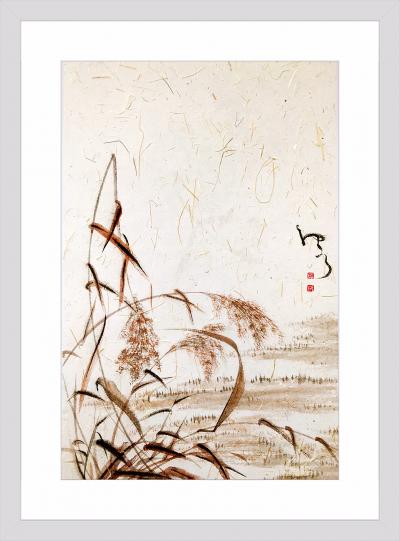 周牧天日记-枯芦苇【图1】