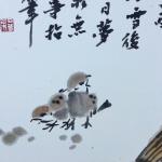 石梦松日志-闲庭燕雀访，陋室重书香。【图3】