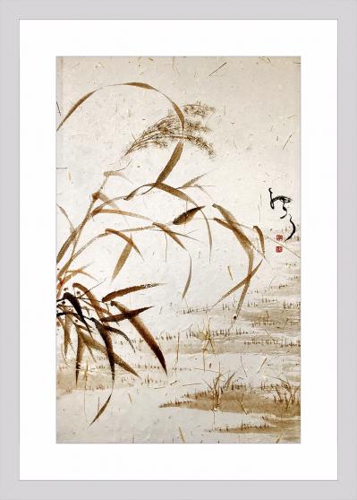 周牧天日记-～～～蒹葭采采，所谓伊人，白内障又双拐【图2】