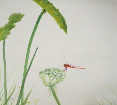 王征明日记-小荷才露尖尖角, 早有蜻蜓立上头.【图1】