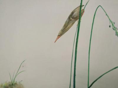 王征明日记-如果按照国画分类：水意画有花鸟、山水；如果按照西画分类：水意画有风景、花卉。【图1】