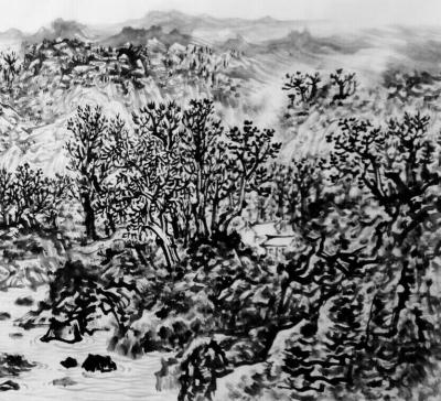 杨振华日记-雨过青山云犹在，寒舍闲处作奇峰。【图4】