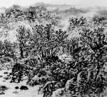 杨振华日志-雨过青山云犹在，寒舍闲处作奇峰。【图4】