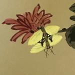 石广生日志-东篱蝶梦。梦见蝴蝶主大吉，梦见蝴蝶交尾，好运将至。【图2】