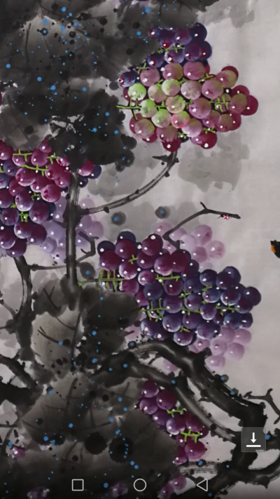 韩宗华日记-大家来品赏下葡萄【图11】