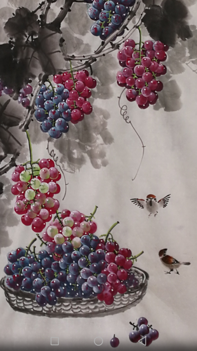 韩宗华日记-大家来品赏下葡萄【图12】