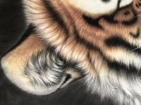 艺术家王振立日记:创作 王者风范【图3】