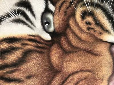 王振立日记-创作  王者风范【图3】