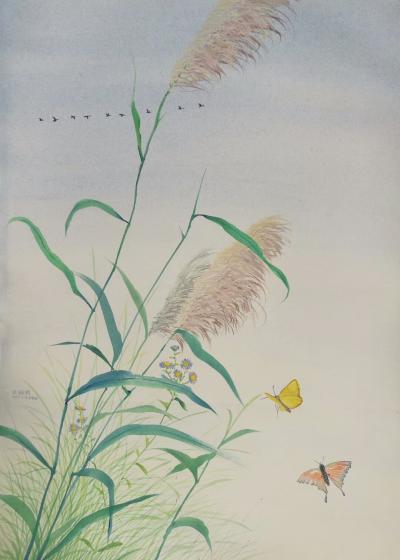 王征明日记-深圳2017候鸟产业论坛【图7】