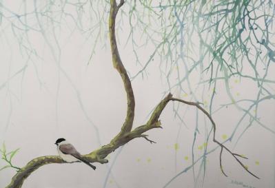 王征明日记-深圳2017候鸟产业论坛【图8】