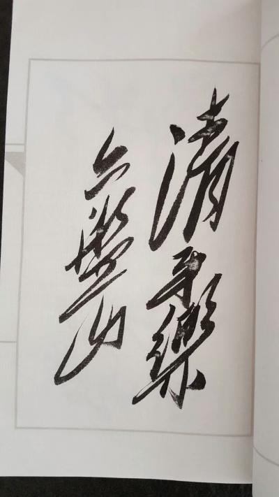 刘书刚日记-书刚手迹毛体诗词选集
预定开始：
单本3000元
套装私聊，
限只推出八【图1】