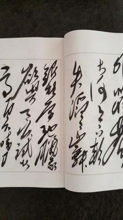 刘书刚日记-书刚手迹毛体诗词选集
预定开始：
单本3000元
套装私聊，
限只推出八【图3】