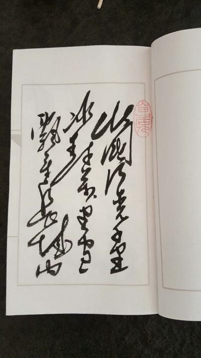 刘书刚日记-书刚手迹毛体诗词选集
预定开始：
单本3000元
套装私聊，
限只推出八【图4】