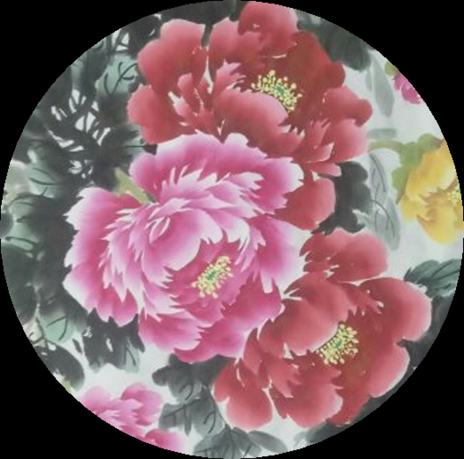 韩仁国画作品《花开富贵》【图0】