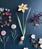 艺术家高腾高尔夫俱乐部收藏:艺术其实就在身边，蔬菜、水果，落叶，残花，都可以再次焕发生命【图1】