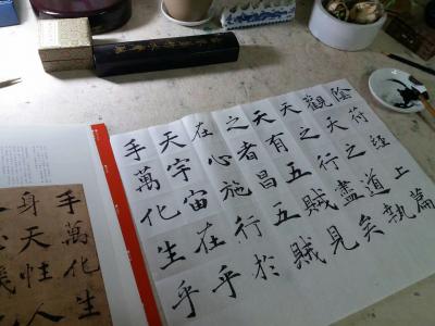 马晓薇日记-阴符经笔法多变，写行书让人畅快。【图1】