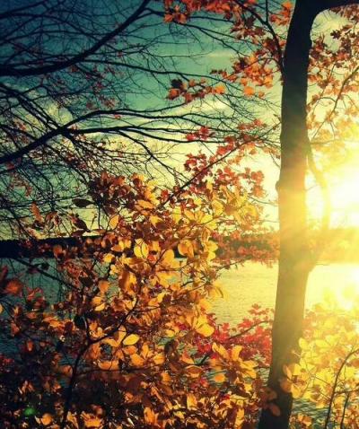 陈新义日记-若晴天和日，就静赏闲云
若雨落敲窗，就且听风声
若流年有爱，就心随花开
若【图6】