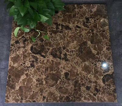 杨盈兴艺空间精选封面动态图片