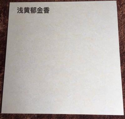 杨盈兴艺空间精选封面动态图片