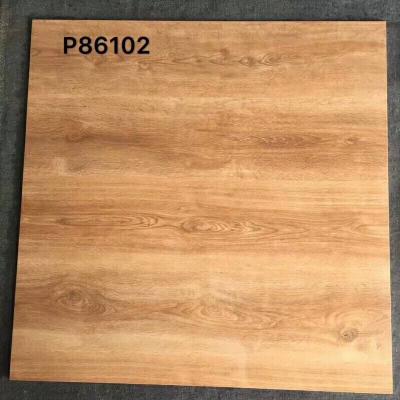 杨盈兴艺空间精选封面动态图片