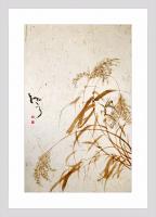 艺术家周牧天日记:～～～骤雨歇、极目萧疏！柳永之词何等刺痛【图0】