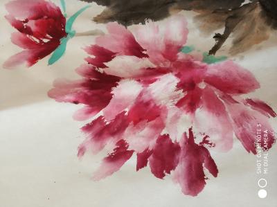 李玉凤日记-牝丹花开，富贵吉祥！【图4】