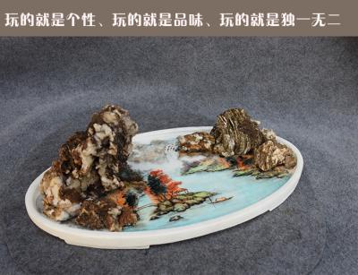 杨增超日记-意境式盆景欣赏【图5】