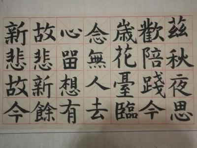 张红亮日记-我很困惑，古人写这种楷书是坐着写的，还是站着写的，若是站着写的，那腰受得了呀！昨【图1】