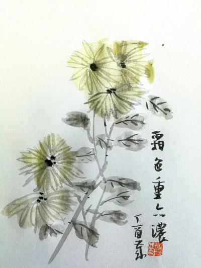 陈培泼日记-硬笔画国画。【图1】