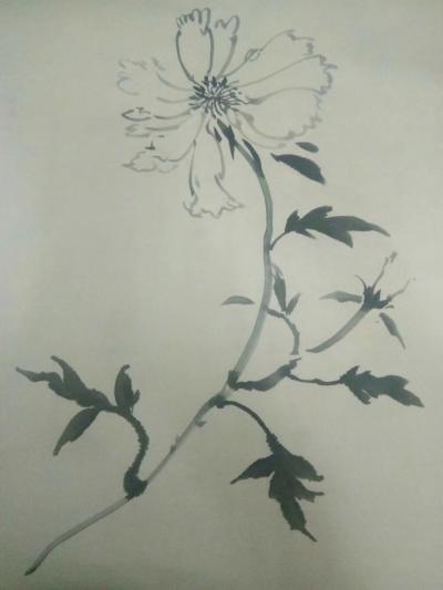 许胜利日记-练练手。【图1】