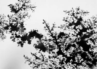 杨振华日记-近日创作的国画《梅花》【图3】