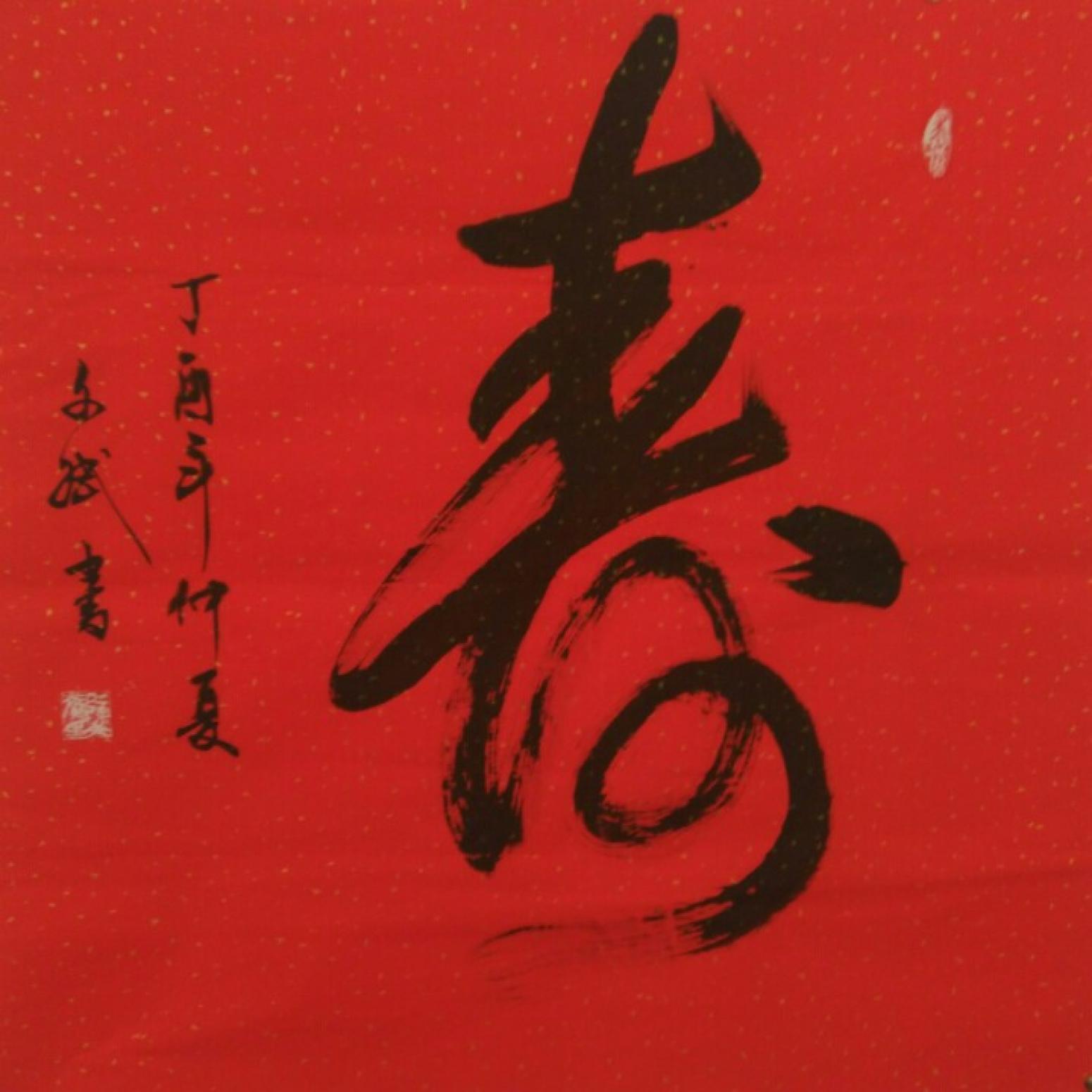 陈文斌书法作品《寿》