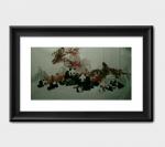 陈金石日志-国宝熊猫档案【图4】