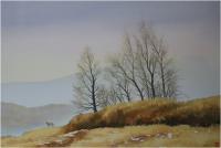 艺术家冯保民日记:一些人，画，画得很细致，谓之深入描写。其实不然，因为细致未必【图0】