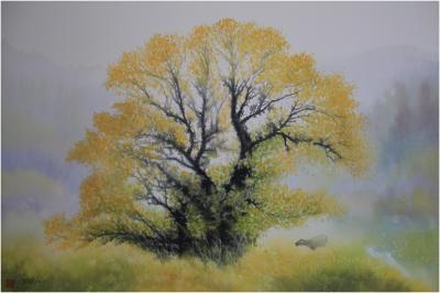 冯保民日记-秋韵。。。【图1】