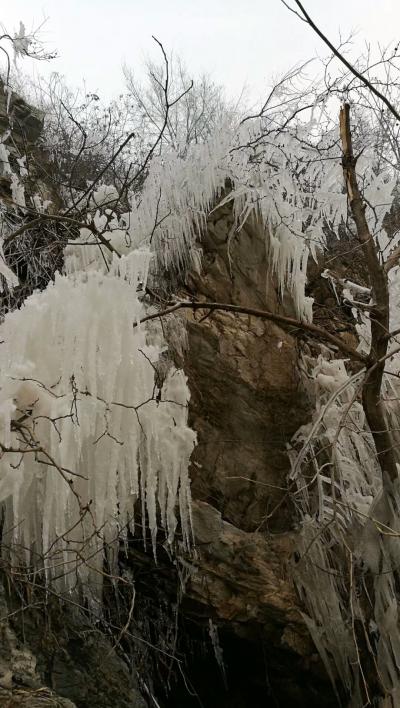 李忠信日记-中国佛教艺术书画院师兄艺友岁末雅集【图7】