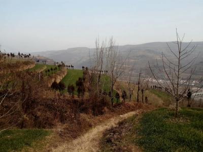 高勇利日记-国画作品《六川河春意》，尺寸：四尺整纸
138*69CM，根据元旦写生创作。高【图6】