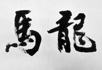 陈文斌日记-新年新气象！早先写的龙马二字！【图1】