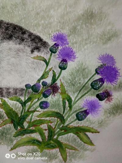 罗虹明日记-刺儿菜和我的衣服颜色很搭。【图3】