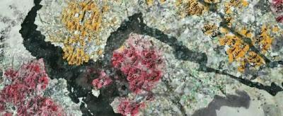 俞晓红日记-徐文实大师的百梅图系列，晒晒。【图6】