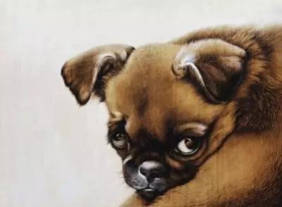 田玉田日记-说到书画创作我们都好理解，有笔、有墨和纸张就可以作画了。然而说到烙画很多人就不明【图2】