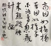 艺术家胡文魁日记:胡文魁 行草作品 释文

白居易诗
弄石临溪坐，寻花绕【图1】