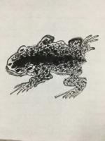 艺术家王永日记:酒后即兴之作 王永书画家 大家品鉴 谢谢【图0】