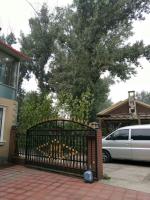 艺术家丁国祥生活:感谢美女盛情款待！感谢老同学！【图3】