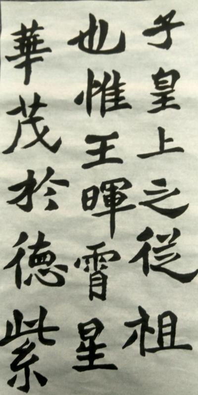 陈文斌日记-临碑帖！【图1】