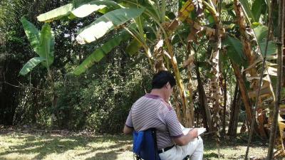 任清宇生活-昨晚画了几张竹子，经过反复修改满意的也就这张《立根破岩》吧！所以说好的作品基本都【图4】