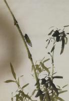 艺术家党文军日记:国画新作《翠竹》(局部图)“翠竹迎风舞，青杆劲节高。望眼观雅【图1】