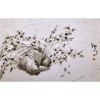 艺术家周牧天日记:无叶兰【图1】