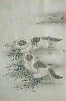艺术家石海博日记:精品猫咪《猫咪戏蝶图》《猫咪戏蚂蚱》《猫咪嬉戏图》，国画工笔【图3】