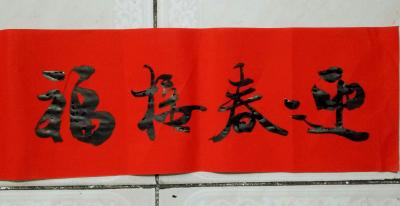 张尚国日记-走进新时代！
迎接新春喜！
撰写新年联！
惠民写春联！

【图9】